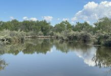 5 Walks and Hikes in ABQ to See Wildlife with Your Kids