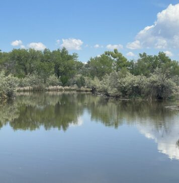 5 Walks and Hikes in ABQ to See Wildlife with Your Kids