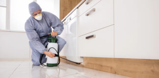 Guide to Pest Control in Albuquerque Pest Control