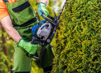 Guide to Albuquerque Landscapers & Yard Work Companies landscaping
