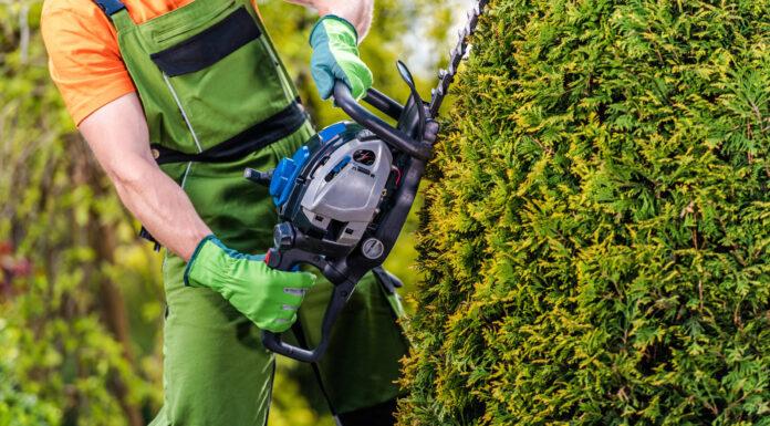 Guide to Albuquerque Landscapers & Yard Work Companies landscaping
