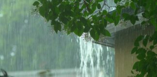 Monsoon Season Is Coming—Is Your Roof Ready?