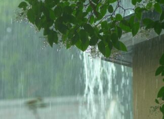 Monsoon Season Is Coming—Is Your Roof Ready?