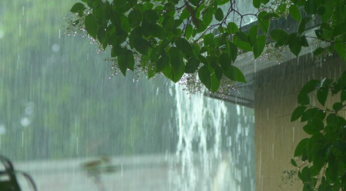 Monsoon Season Is Coming—Is Your Roof Ready?