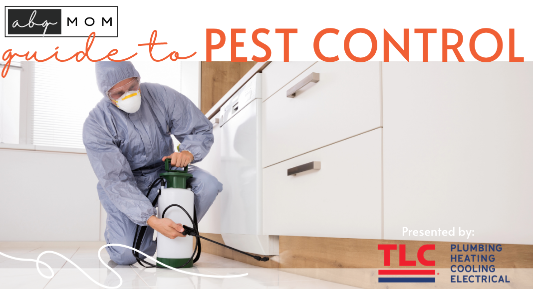 Guide to Pest Control