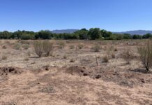 Candelaria Nature Preserve Opens to the Public