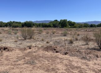 Candelaria Nature Preserve Opens to the Public