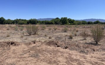 Candelaria Nature Preserve Opens to the Public