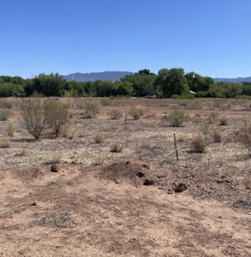 Candelaria Nature Preserve Opens to the Public