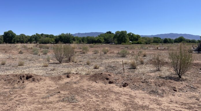 Candelaria Nature Preserve Opens to the Public