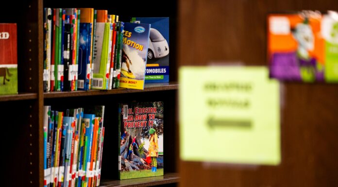 Set Your Kids Up for Success with a Free Summer Reading Program