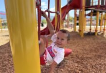 Best Parks with Shade to Beat the Heat This Summer