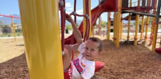 Best Parks with Shade to Beat the Heat This Summer