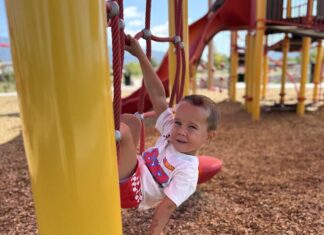 Best Parks with Shade to Beat the Heat This Summer