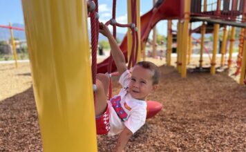 Best Parks with Shade to Beat the Heat This Summer