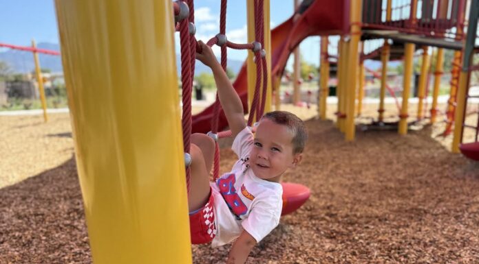 Best Parks with Shade to Beat the Heat This Summer