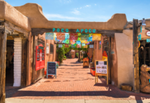 Favorite ABQ Activities to Explore with Visiting Grandparents Favorite ABQ Activities to Explore with Visiting Grandparents