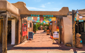 Favorite ABQ Activities to Explore with Visiting Grandparents Favorite ABQ Activities to Explore with Visiting Grandparents