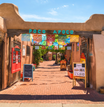 Favorite ABQ Activities to Explore with Visiting Grandparents Favorite ABQ Activities to Explore with Visiting Grandparents