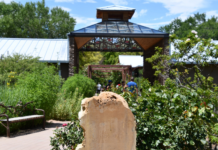 Bring Joy to Mornings :: 10 Things to Do in ABQ Before 10 AM Bring Joy to Mornings :: 10 Things to Do in ABQ Before 10 AM