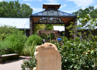Bring Joy to Mornings :: 10 Things to Do in ABQ Before 10 AM Bring Joy to Mornings :: 10 Things to Do in ABQ Before 10 AM