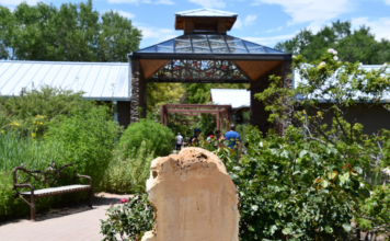 Bring Joy to Mornings :: 10 Things to Do in ABQ Before 10 AM Bring Joy to Mornings :: 10 Things to Do in ABQ Before 10 AM