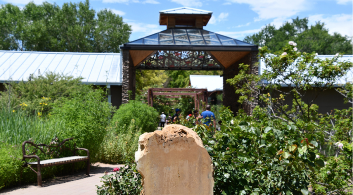 Bring Joy to Mornings :: 10 Things to Do in ABQ Before 10 AM Bring Joy to Mornings :: 10 Things to Do in ABQ Before 10 AM