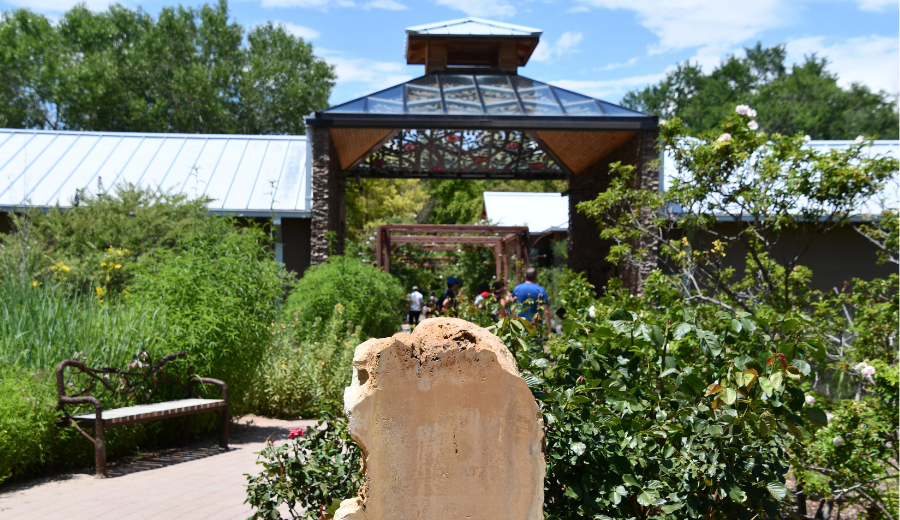 Bring Joy to Mornings :: 10 Things to Do in ABQ Before 10 AM